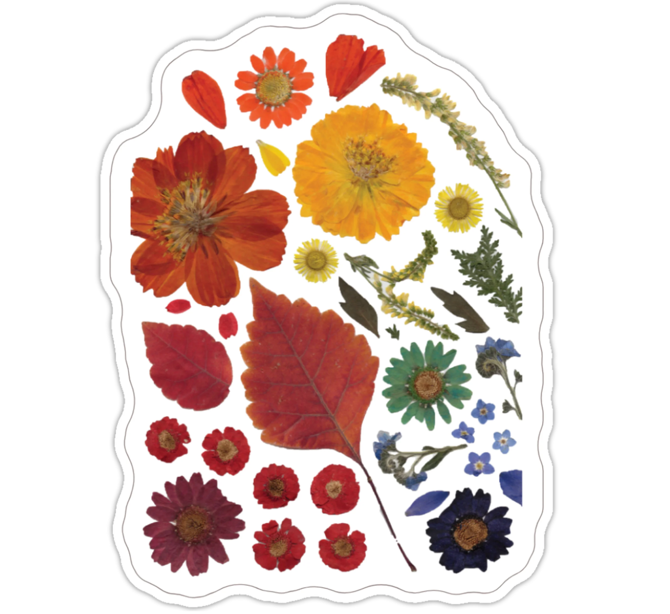 Rainbow Arch Sticker