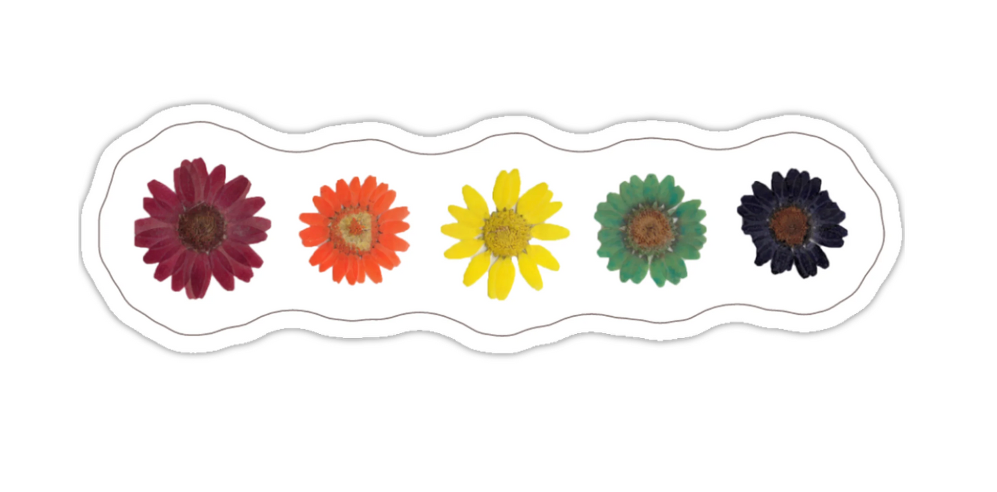 Rainbow Daisy Sticker