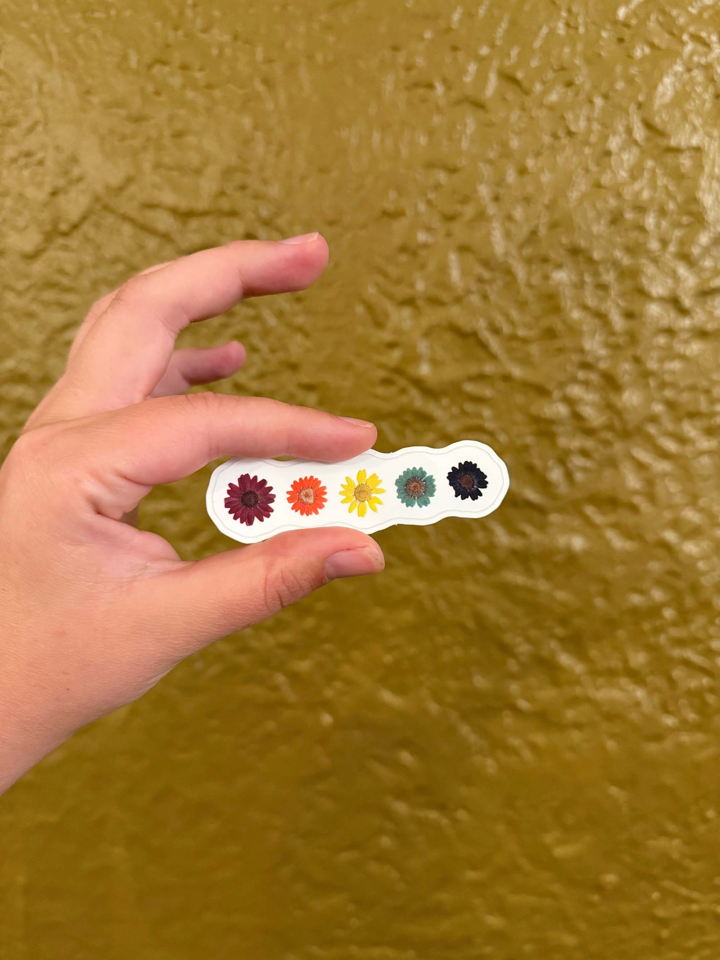 Rainbow Daisy Sticker